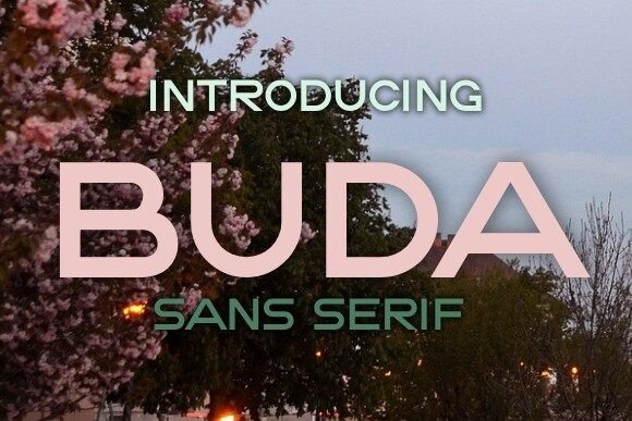 Buda: A Sans Serif for Real Projects