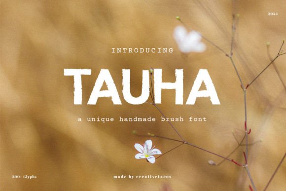 Tauha: A Creative Brush Font for Branding