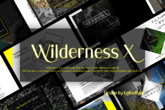 Wilderness X: A Bold Font for Business
