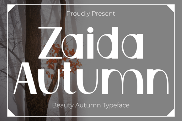 Zaida Autumn: A Nostalgic Sans Serif